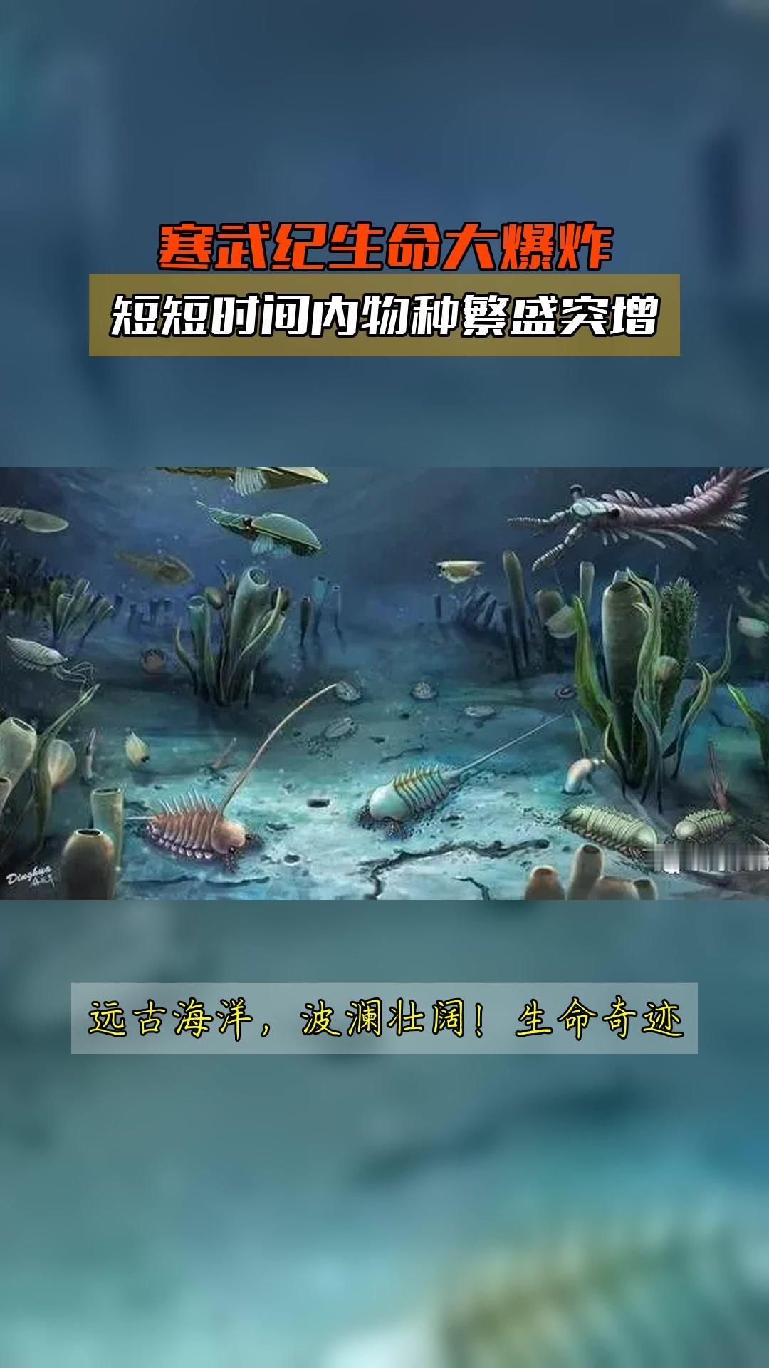 为什么地球动物会在寒武纪大爆发?寒武纪大爆发地球生命的“创世纪”时刻在距今约