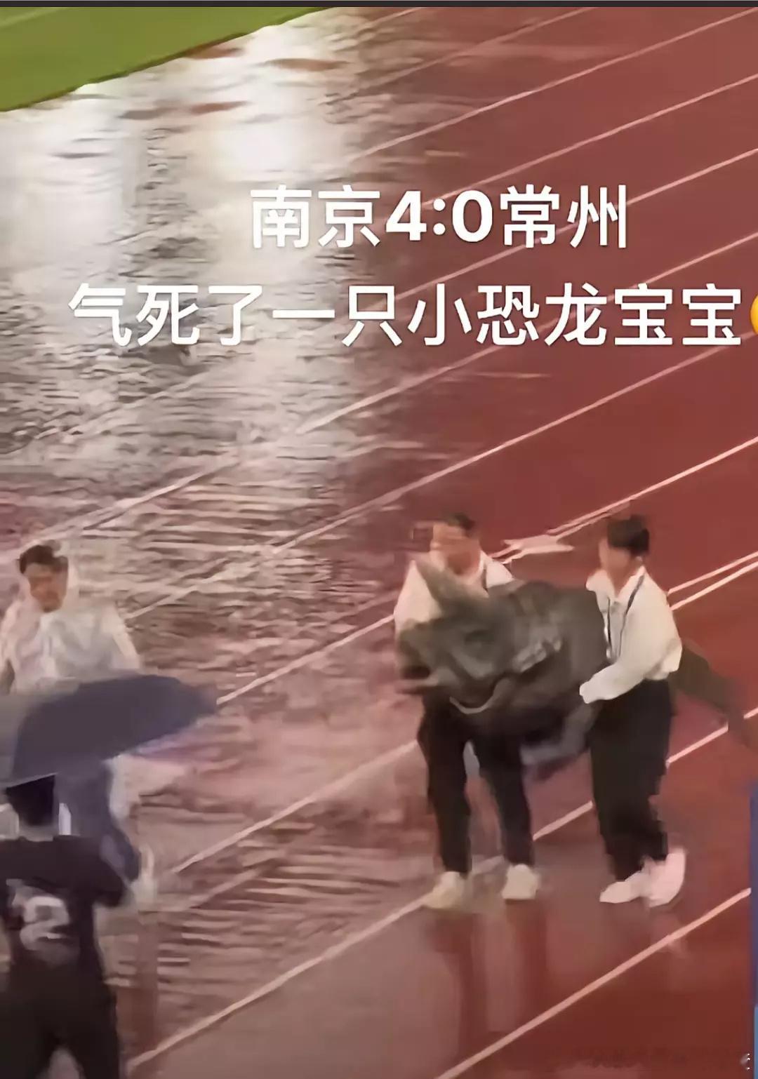 恐龙灭绝的原因找到了南京负全责​​​
