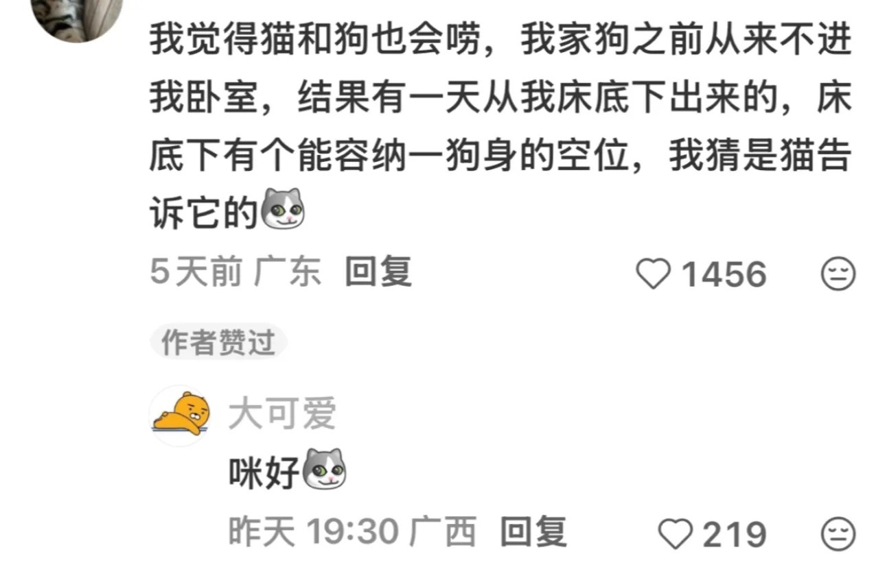 原来猫猫们也会互通有无啊