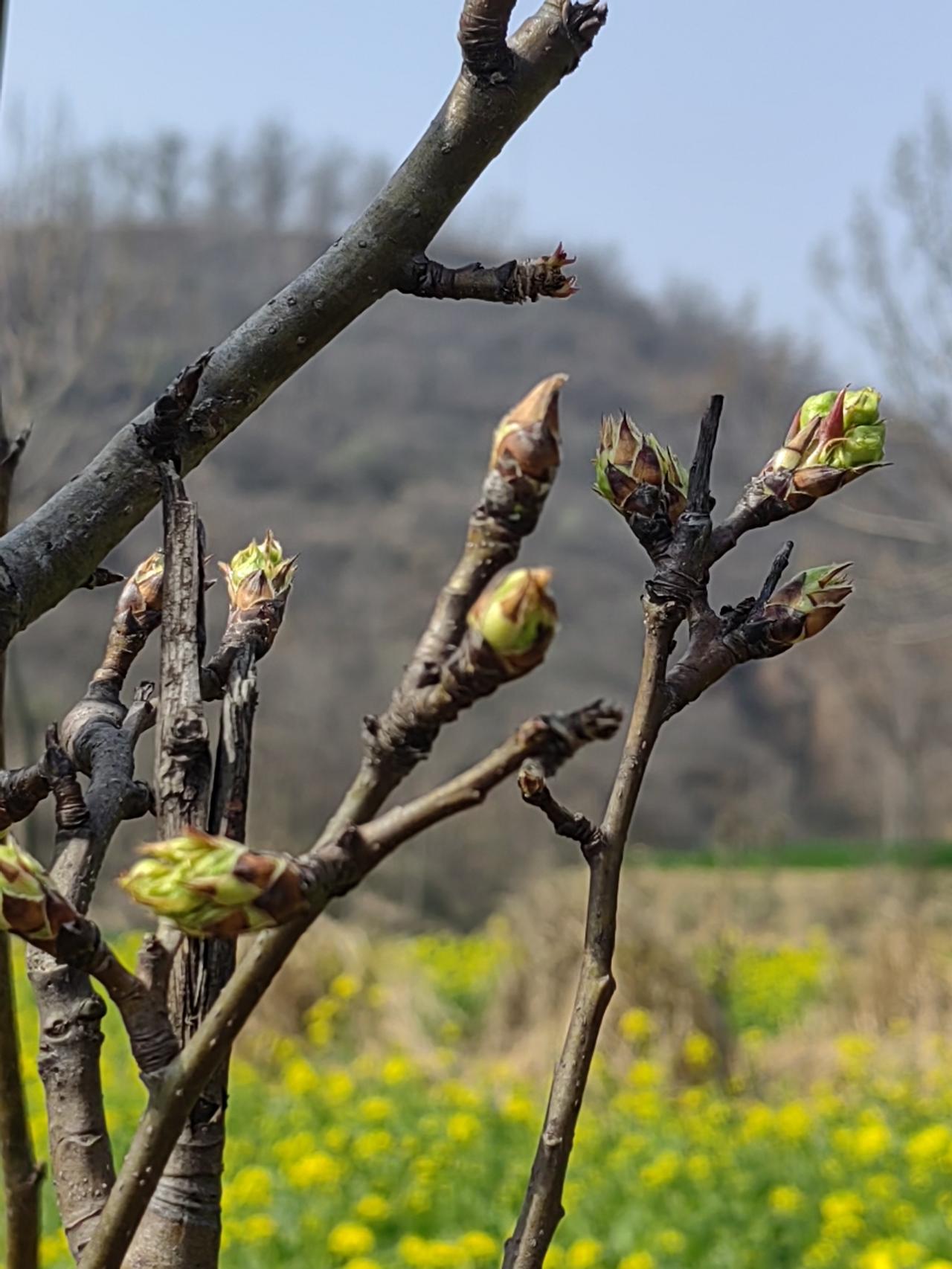 不要笑话那些独来独往的人，因为太少，即使没能力那也是本领，毕竟绝大多数人做不到。