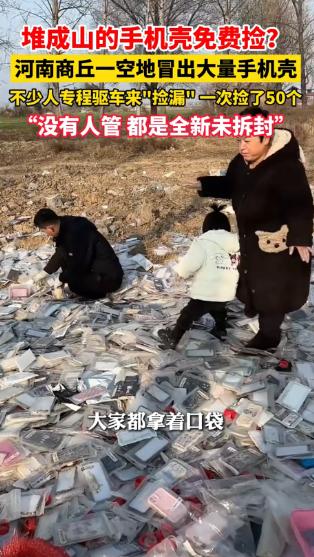 天上掉馅饼了！近日，河南商丘一个村口的洼地，硬生生变成了村民眼里的“宝藏地”。一