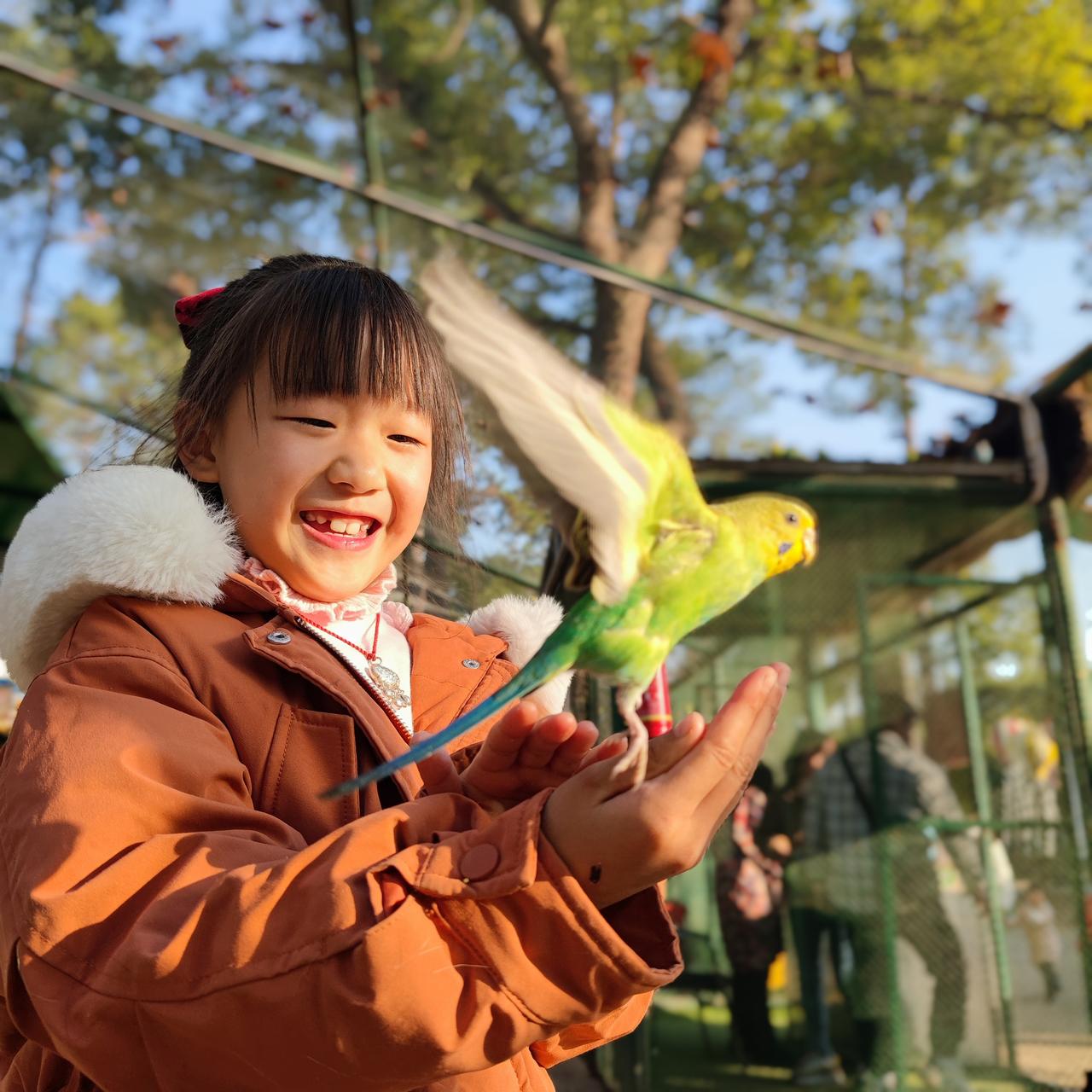 和鹦鹉的亲密互动，快乐的一天！🌞🦜😊萌萌哒的小鹦鹉饲养鹦鹉