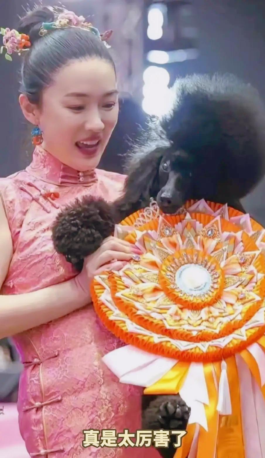 琢磨了好久，终于搞清楚霍思燕这次赢在哪了。不是因为她养得起好犬，也不是因为她