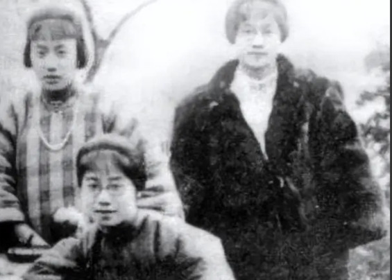 1900年，连生两个女儿的朱环佩再次怀孕，丈夫威胁她生不出儿子自己就去纳妾。就在