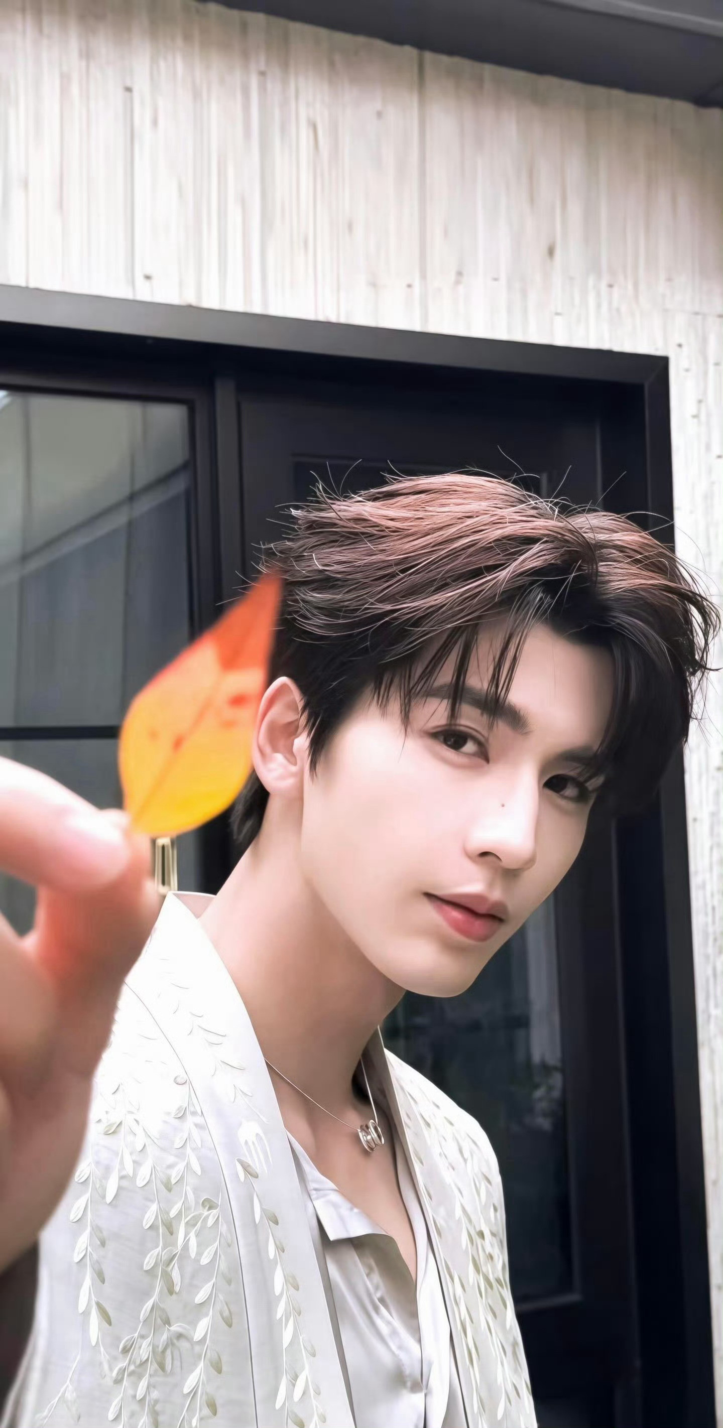 张凌赫小学集体毕业照张凌赫六5班毕业照张凌赫小学集体毕业照