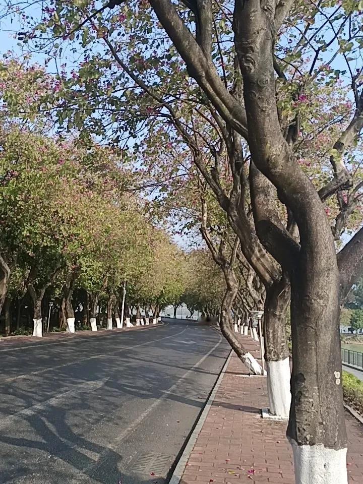 左边鼎湖山，右边七星岩家人们谁懂啊，经常有人问我广东省内哪里适合旅游我