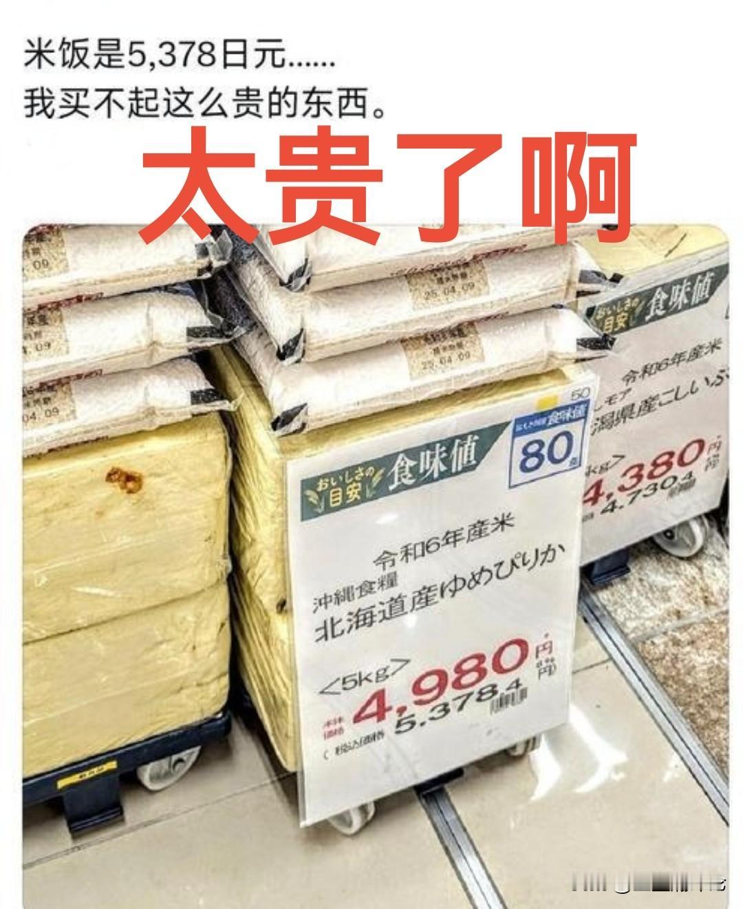 一袋5kg大米320块，日本人说“我买不起”……刚看到2026年日本物价数据