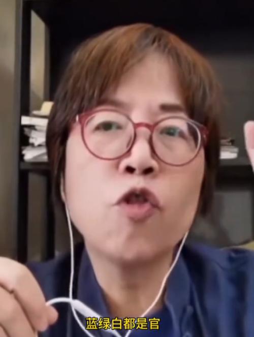 台湾名嘴黄智贤的油管账号留言，几乎清一色都是绿娃青鸟。针对黄智贤评论“毒油事件