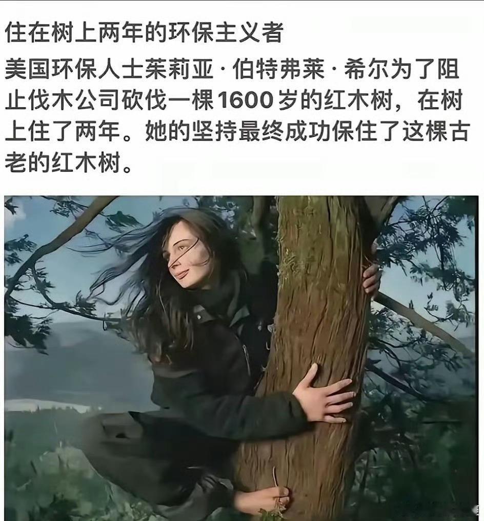 两小无猜的故事原型​​​