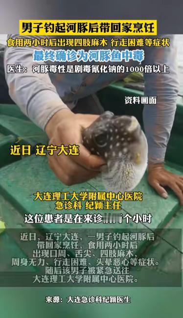 悲剧还是发生了！近日，辽宁大连，一男子在海边钓鱼时，钓上来不少河豚，他知道这种鱼