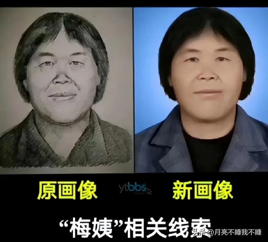 梅姨落网背后的真相！警方六年前的“无证据”表态，竟是一招欲擒故纵梅姨被抓背后