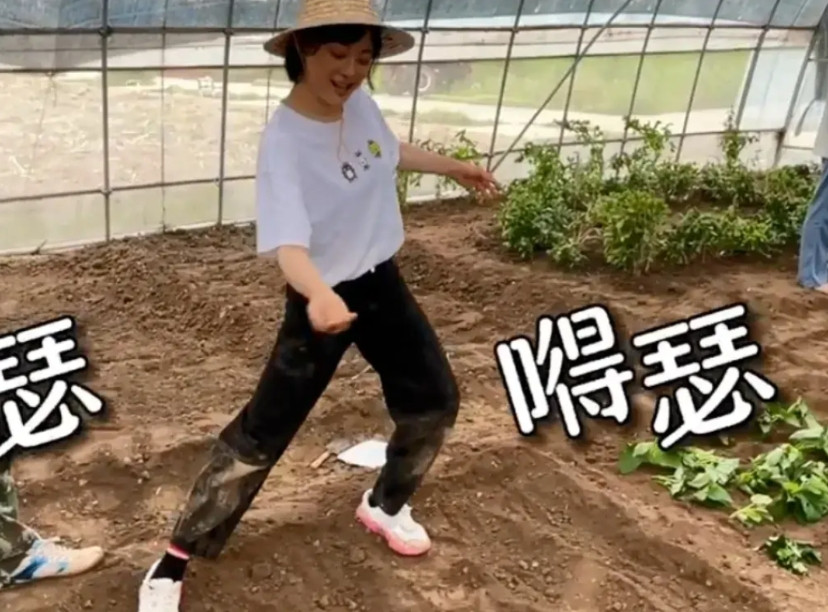 邓超说：因为孙俪非常忙，所以是他偶像！比如说喜欢拉大提琴，我甚至不敢相信她把级还