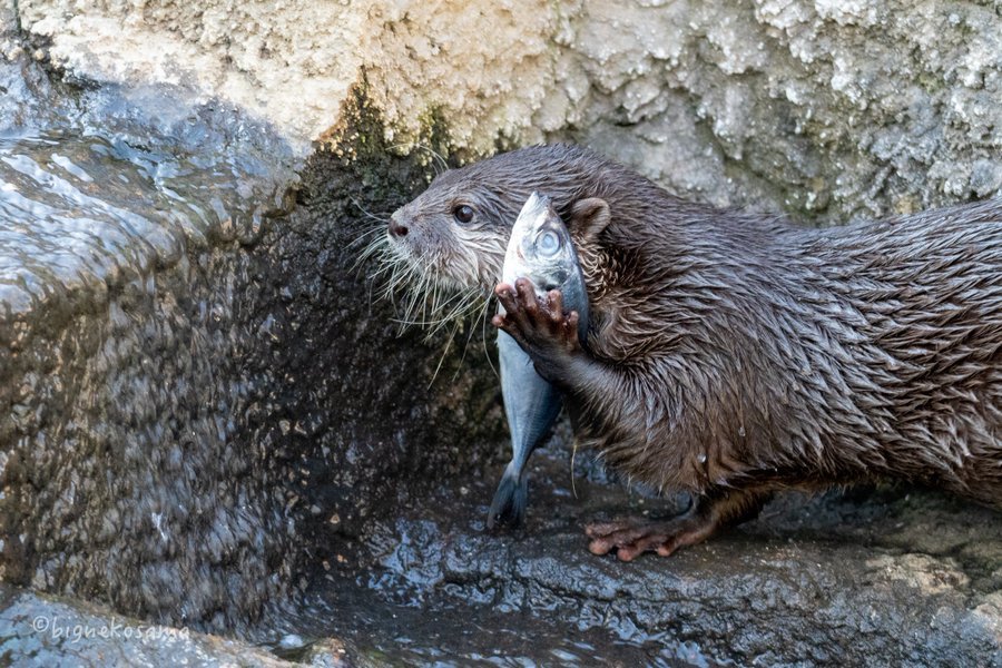 “喂？哪位啊”