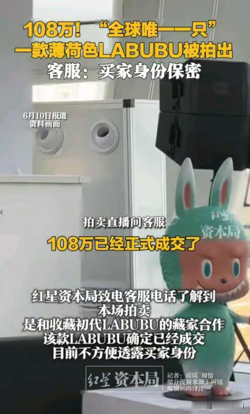 这钱给我多好？我实在无法理解。108万买一只玩偶，是这个世界太疯狂还是我