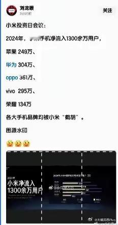 小米手机投资日会议称，小米国内销量24年比23年增长了1300万，各大手机品牌均