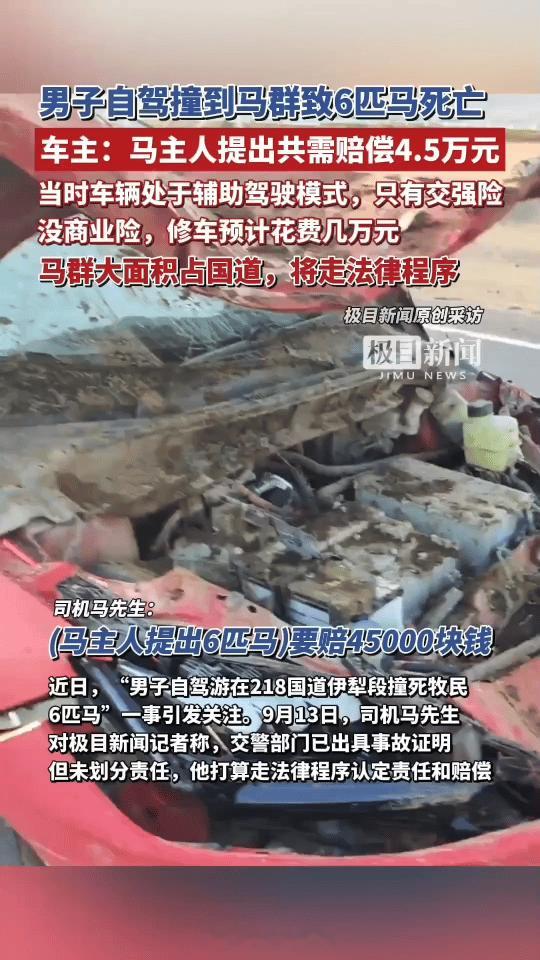 马先生撞死了6匹马马主人提出大马每匹1.2万，小马少算点，共4.5万事发