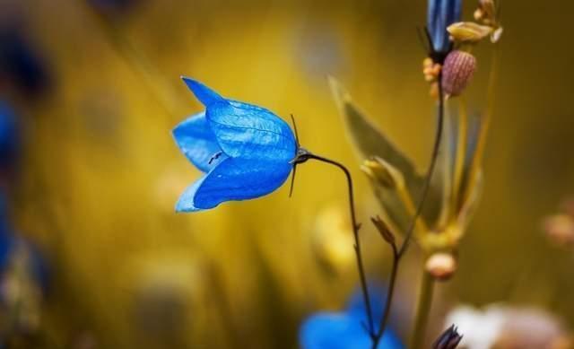 我40岁未婚未育，补贴娘家10年，如今花45万给自己买了个房子，娘家大嫂质问我，