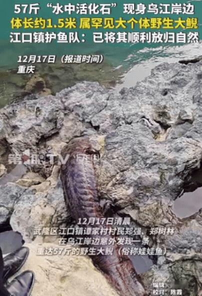 “幸亏发现及时！”重庆一村民干活时，突然发现石头缝有动静，他起初以为是“辣条”，