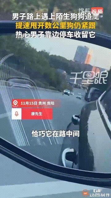 贵州贵阳一名男子开车回家途中，遇到了一只流浪小狗，起初小狗一直追着他的车子跑，并