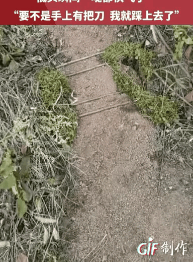 在人行道上下这种暗器，目的是为了捕捉野生动物，这种行为不仅十分危险，而且已经涉嫌