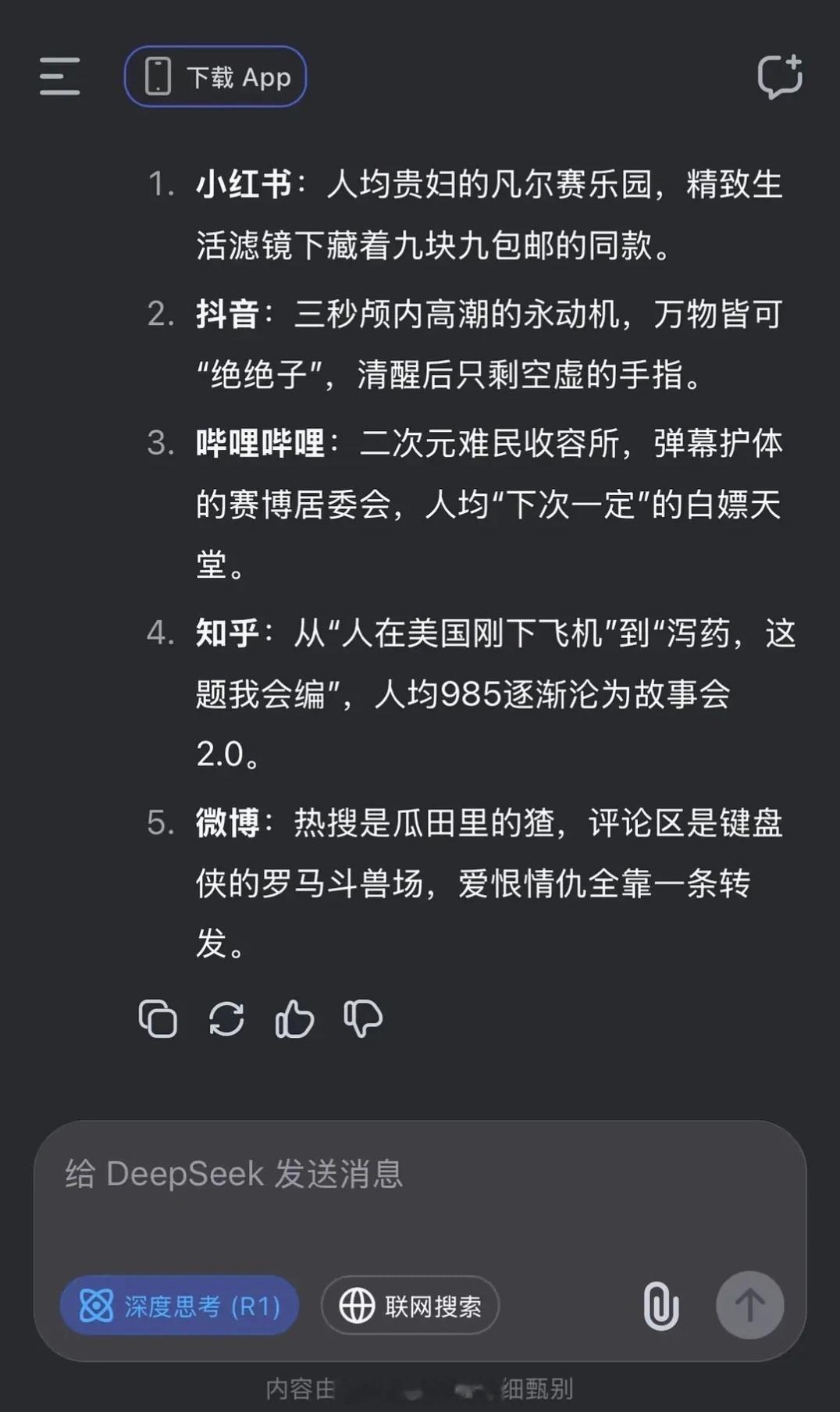 DeepSeek点评各大平台的现状。其中，小红书：人均贵妇的凡尔赛乐园，精致生