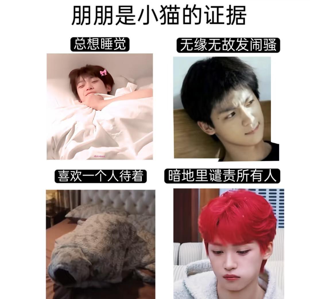 五则毫无意义的朋咪梗图梓渝