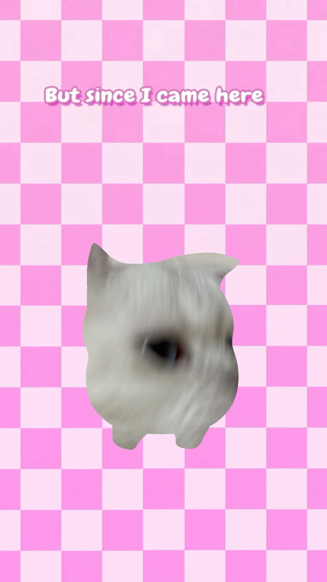 撒娇怪