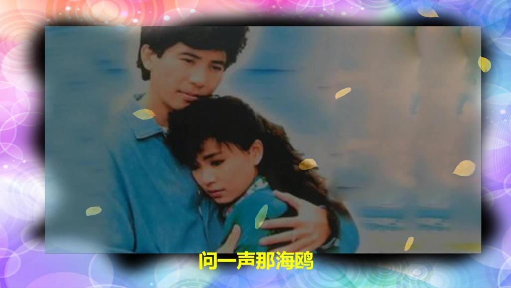 海鸥彩云飞简谱_海鸥飞处彩云飞(3)