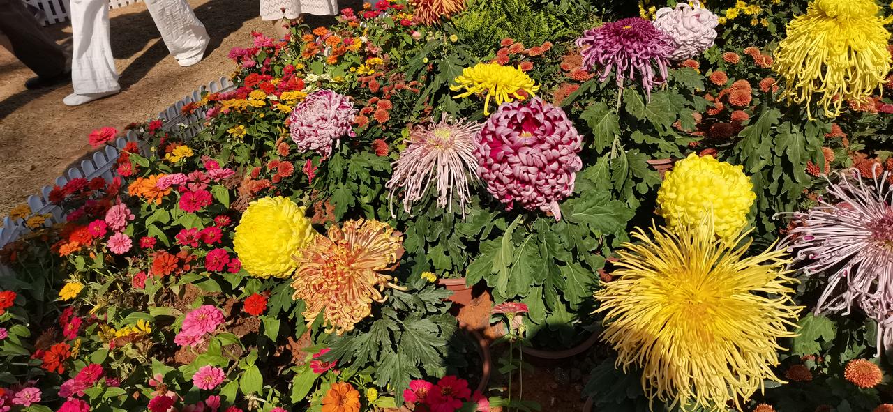 今天股市下午的拉升是行情的反转还是反弹？大盘下午突然放量拉升，是反弹还是要行情