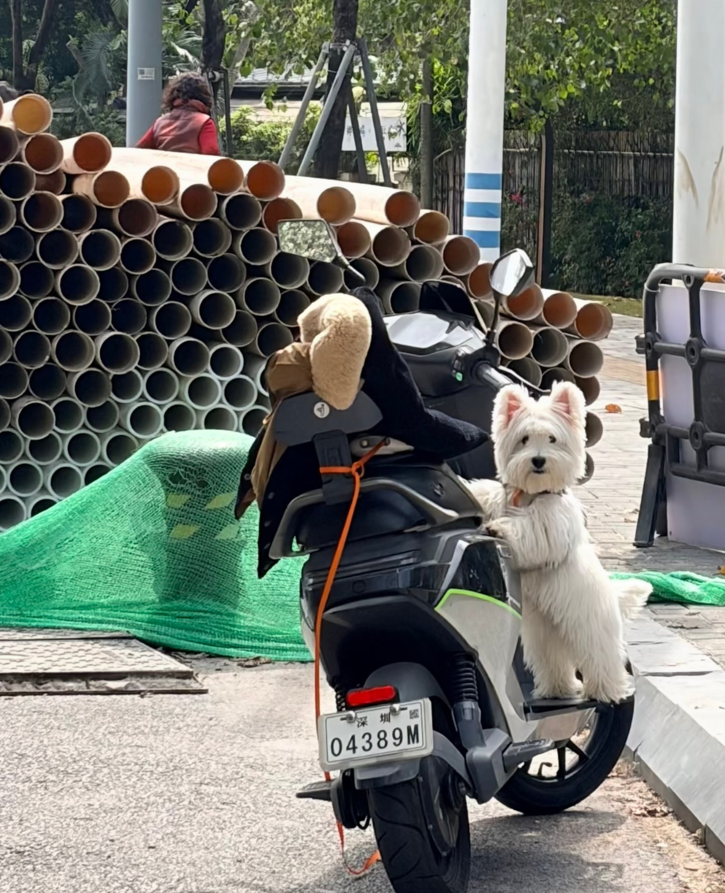 走啊，吃中饭去了