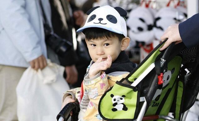 1月28日，大熊猫刚离开一天，日本就开始“全面唱衰”了。日本上野观光联盟名誉会长