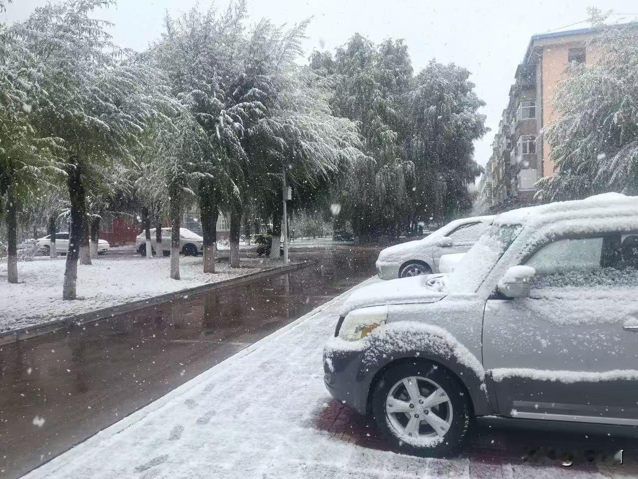 南方穿半袖、黑龙江堆雪人！今年南北入冬差距“离谱”，这天气到底咋了？