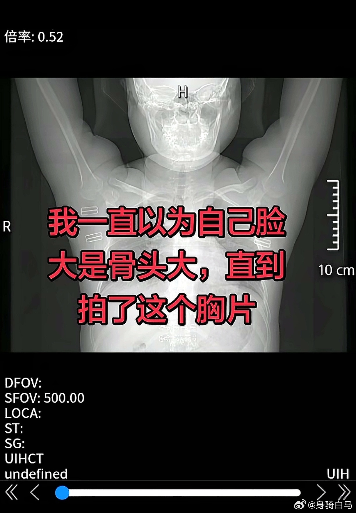 唯一宽慰自己的理由都没了