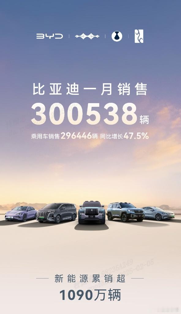 开年就杀疯了！2025年首月汽车销量榜出炉🚗比亚迪狂卖30万辆稳坐冠军，直接把