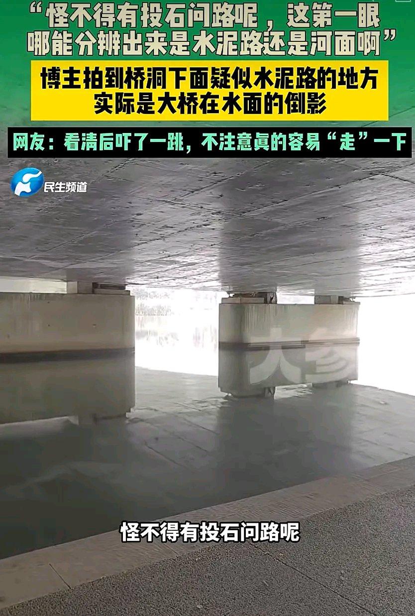刷到河南遂平玉湖公园那个视频的时候我直接笑出了声，谁能想到有一天人类要蹲在桥底，