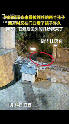 泪目！江西一户人家，不久前领养了2只小狗，主人一直悉心喂养，一天夜里，主人刚睡下