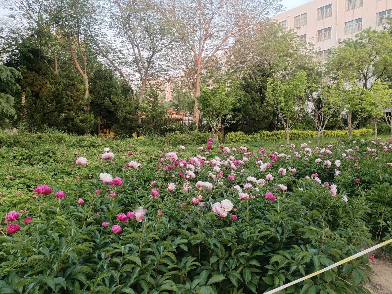 形意拳，立圆加一点点横就够用，虽然画的是立圆，里面的横劲隐藏的好，表面看