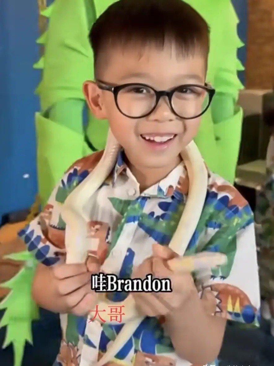胡杏儿陪3个儿子去玩宠物蛇,5岁二儿子李奕霖颜值最高,已经比大哥长得好看了,双眼
