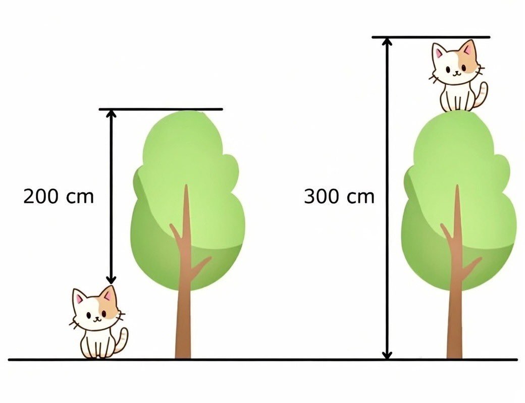 用什么方法可以快速计算出小猫有多高？