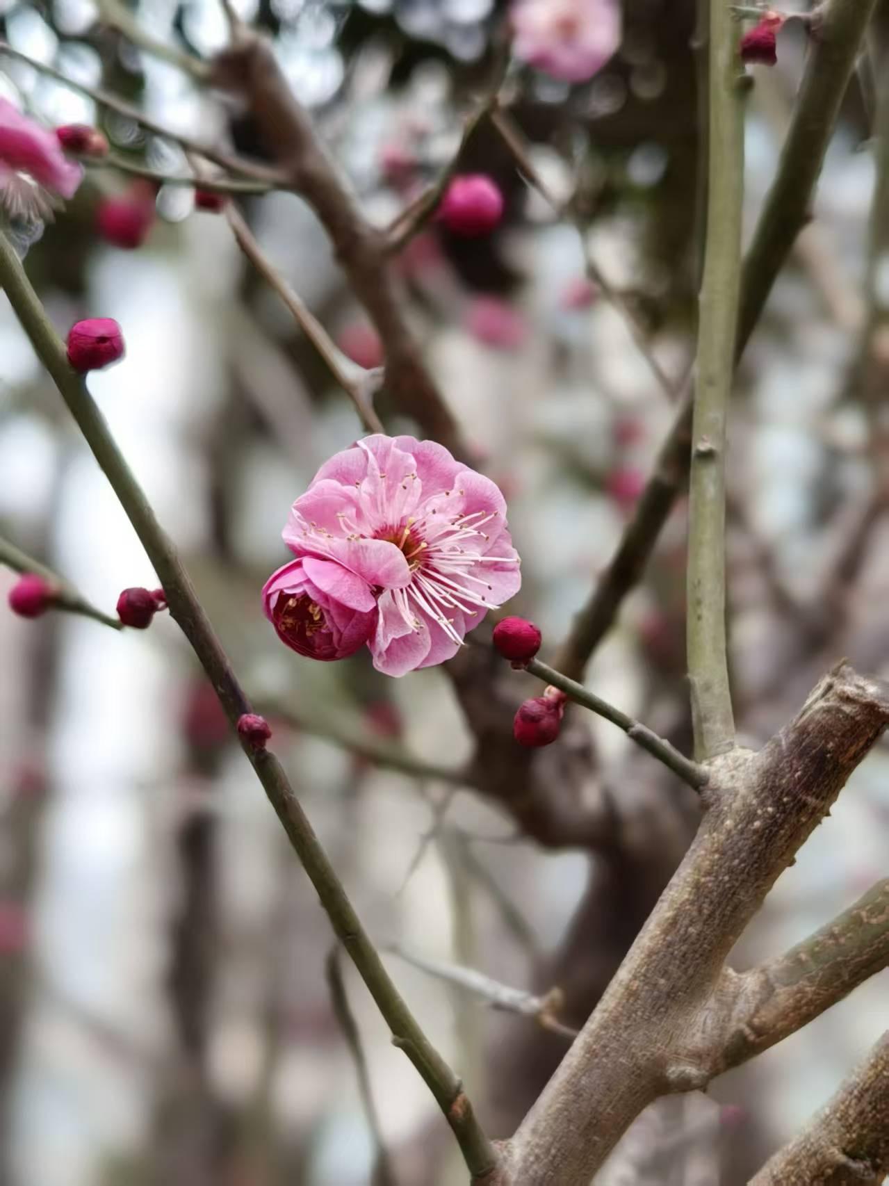 在商场看到一位50多岁的大姐在买衣服，售货员的一番话让我觉得很是意外。很少逛