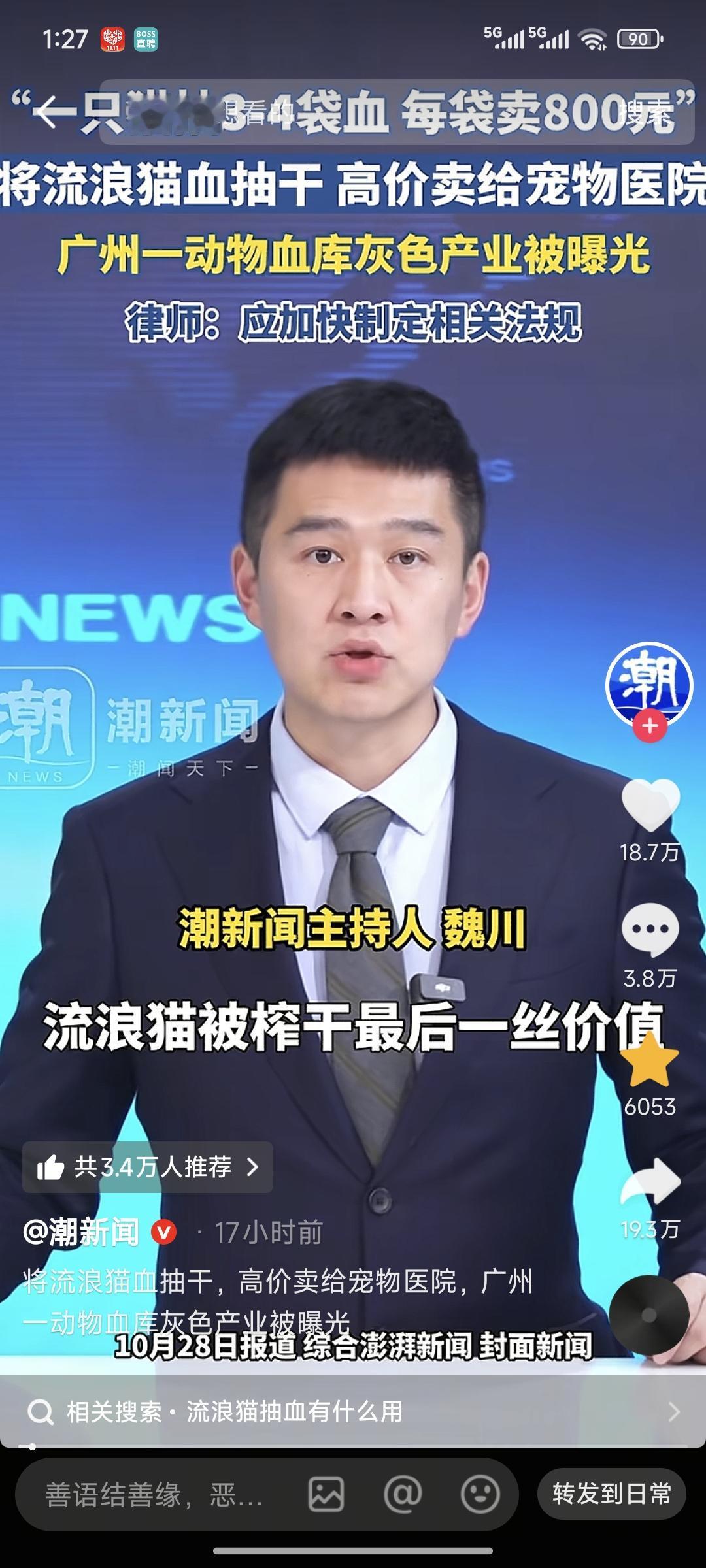 “如果你怕鬼,那我带你看看人心”高价卖猫猫的血赚钱的方法有很多,善良的人想不到