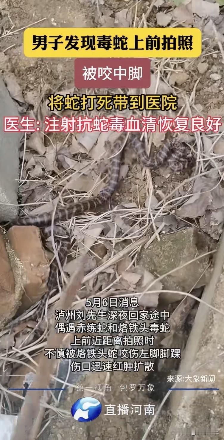 太惊险了！四川泸州，一名男子深夜回家路上，一下子碰到两条蛇，一条是赤练蛇，还有一