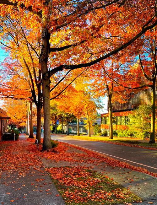 人这一辈子，你最该好好说话的，是你自己别总和心里那个自己较劲，他累了，