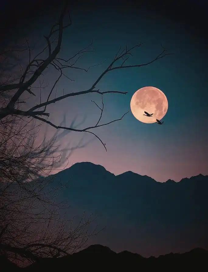 爱因斯坦曾问：当所有人都不看月亮时，月亮还在吗？有人觉得月球一直绕着地球转，肯定