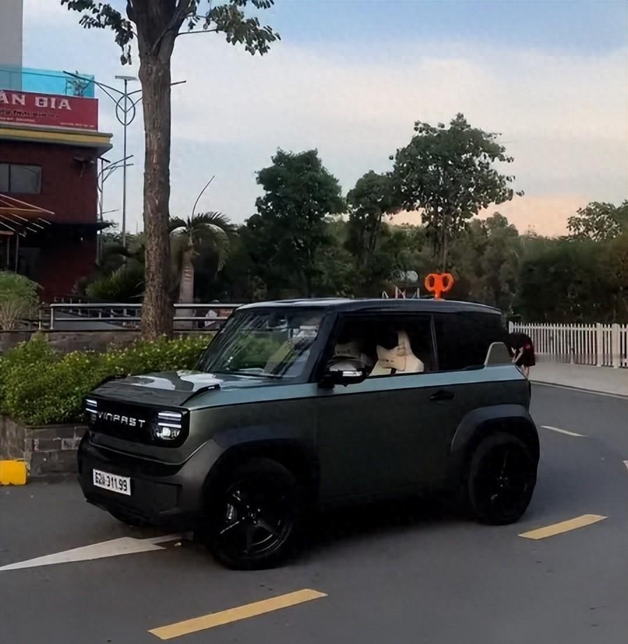 越南人嘴上说不买中国车，结果呢？2025年他们卖得最火的那台“国民电车”——Vi