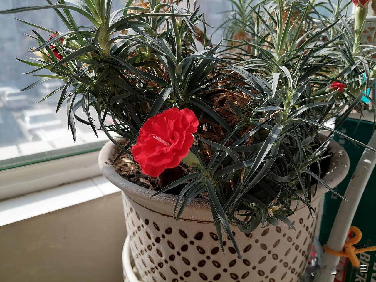 我姐回来了，昨晚我和姐姐都在老妈家住的。早晨，姐姐做的早饭，我不做。但我吃早