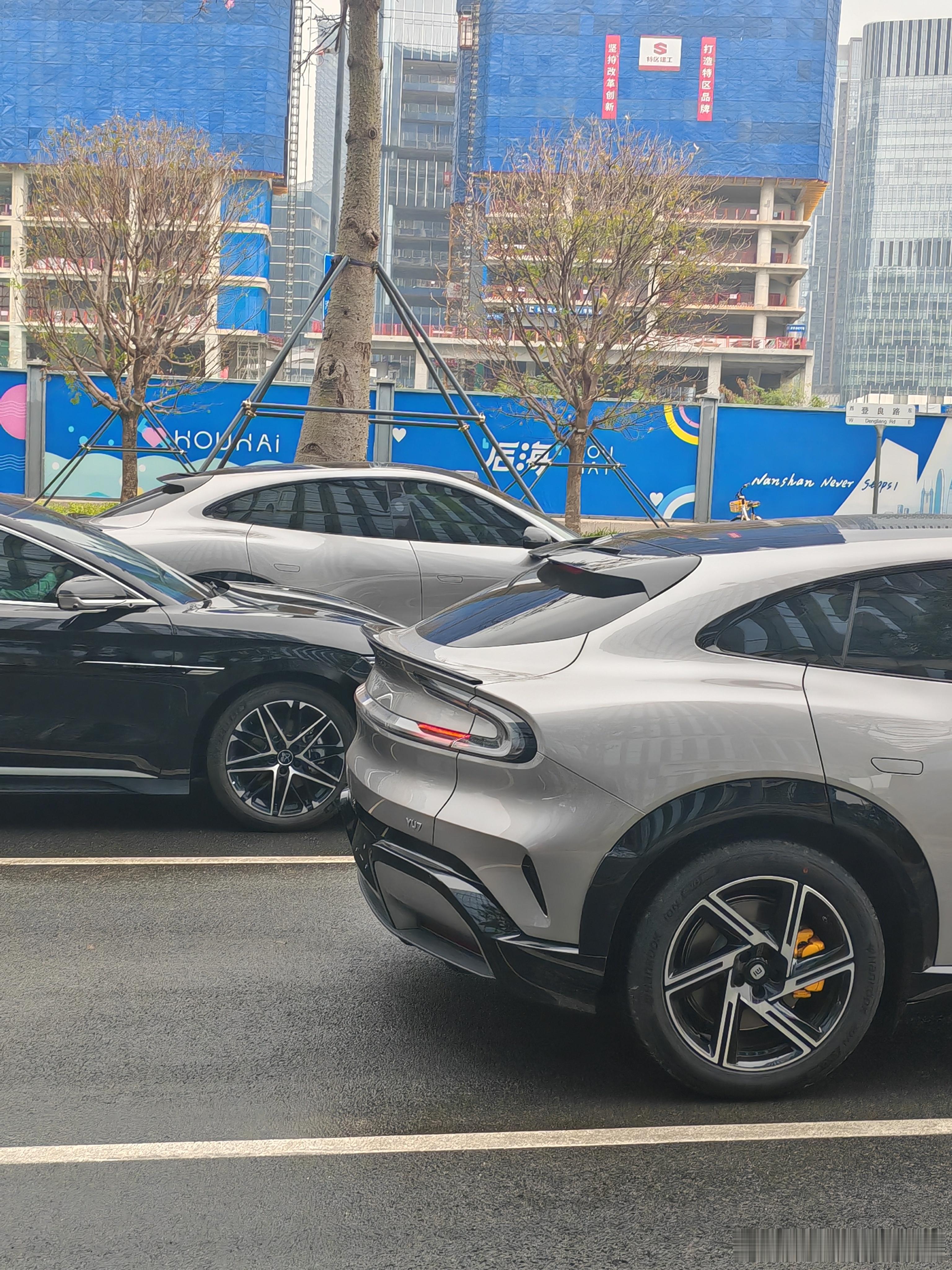 深圳湾这边小米好多，到处都是，有钱人的玩具？