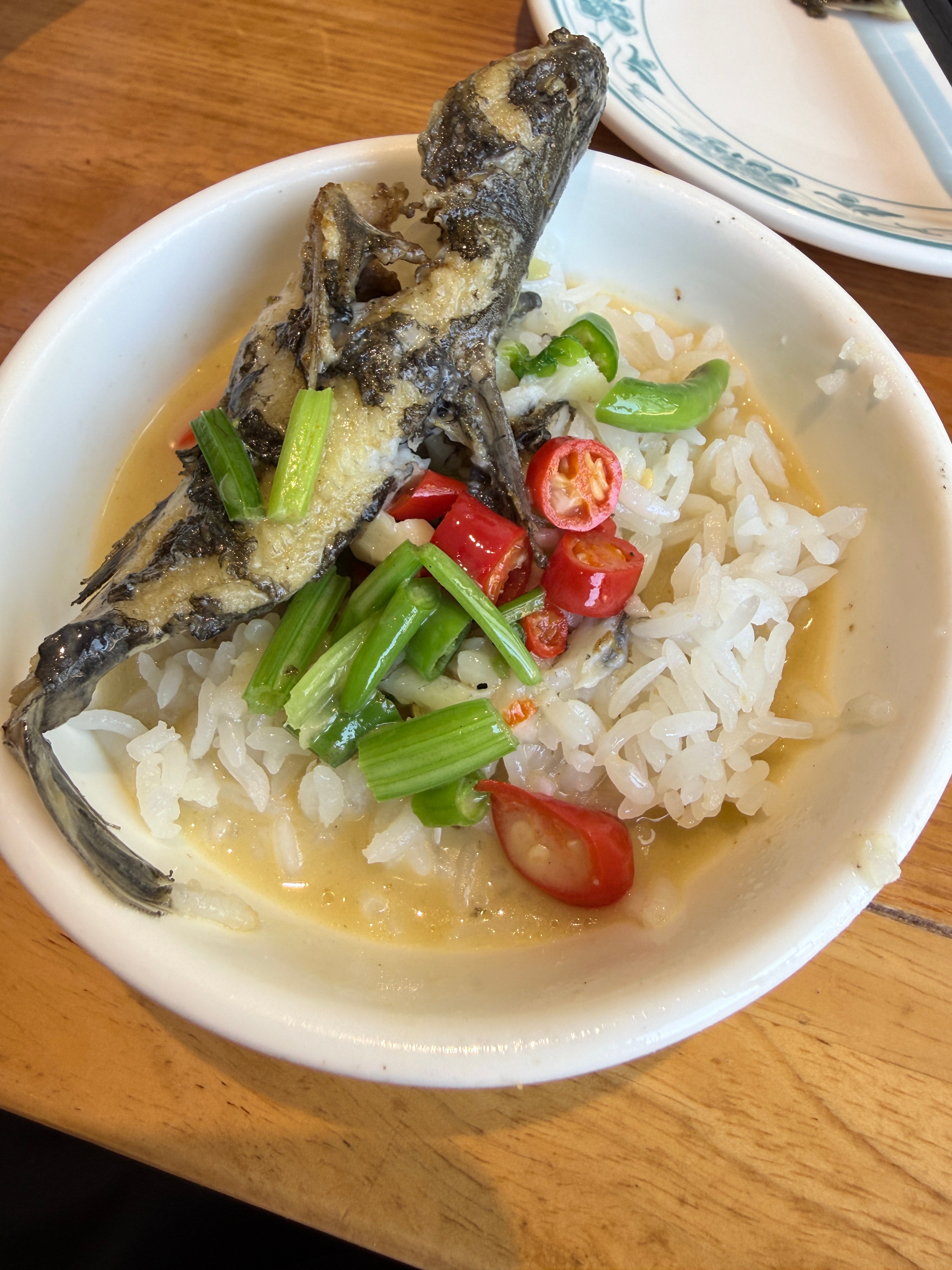 回湖南，就为了这一口鱼汤泡饭！我可以负责任的说，做好一锅鱼汤的技术难度，丝毫不亚于我配一锅顶尖的电解