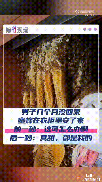 安徽蚌埠一名男子因为工作的原因几个月没有回家,然而回家后,却听到衣柜里传来“嗡嗡