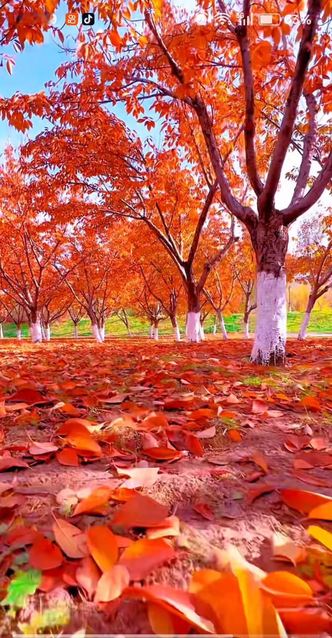 我的亲外甥在深圳一家电器配件厂做管理，承包了一个部门，今天在微信里发招工广告。